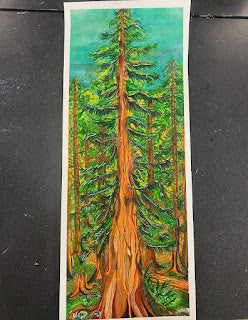 Western Red Cedar 🌲 - I.F.